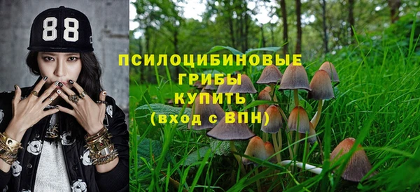 первитин Алексеевка